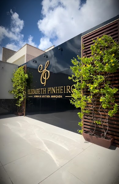 Clínica Elizabeth Pinheiro - ESTHETIC PERSONALITÉ Limpeza de Pele, Gordura Localizada, Flacidez, Criolipólise, Capilar em  - opção de Loja